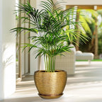 Ceramic Plant Pot 8 Inch - Image 2
