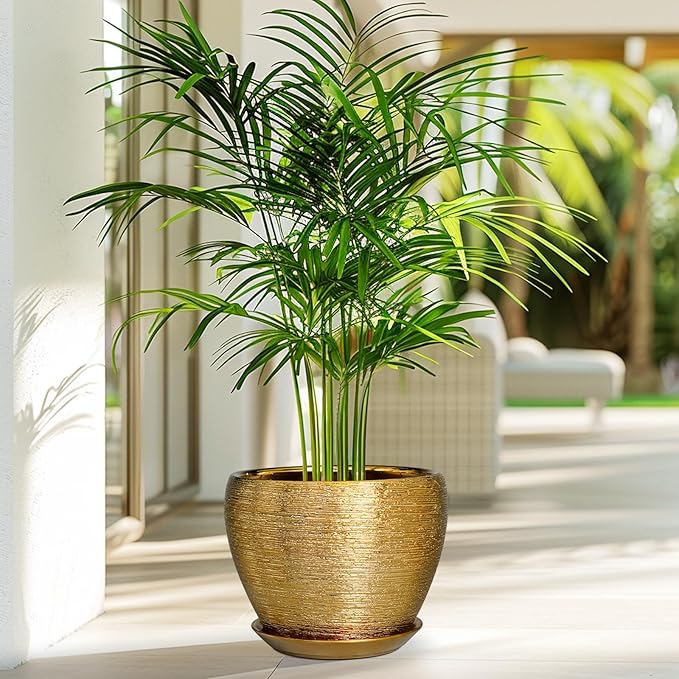 Ceramic Plant Pot 8 Inch - Image 2
