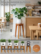 Demigo 15-Inch Tall Plant Stand - Image 2