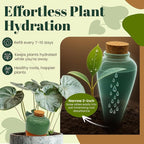 Terracotta Self Watering Planter Insert - Image 3