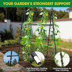 Cucumber Trellis, Metal Garden Trellis - Image 3
