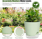 Plant Pots 5 Inch Self Watering Pots, 6 Pack Plastic Planters - Image 7