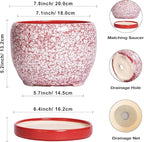 SQOWL Ceramic Pots for Plants - Image 3