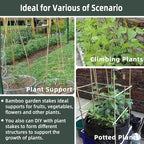 50Pcs / 2ft Bamboo Plant Stakes - Image 4