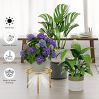 5 Pack Metal Plant Stand Home Flower Stand Shelf - Image 4