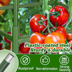 ANPHSIN 2 Sets Tomato Cages - Image 3