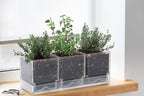 D'vine Dev Herb Garden Planter Set, Plastic Plant Pots - Image 2