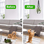 Augshy Macrame Hanging Planter, 2 Pack Hanging Planters - Image 6