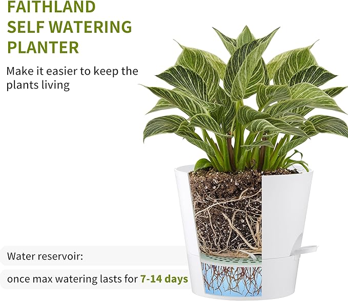 FaithLand 2-Pack 8 Inch Planter Pots - Image 3