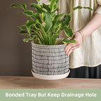 8 Inch Plant Pot: Ceramic Planter - Image 3