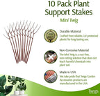Mini Twigs Plant Support Stakes - Image 2