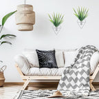 2 Pieces Wall Decor Hanging Planters - Image 7