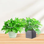 Cat-Shaped Small Trellis for Potted Plants, 13 inches Hoya Trellis 2 Pack - Image 7