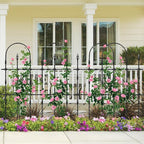 2026 New Upgraded Garden Trellis - Image 2