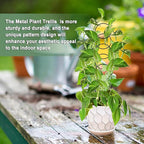17.5 Inch Plant Trellis Indoor for Climbing Plants, Metal Trellis, Small Garden - Image 5