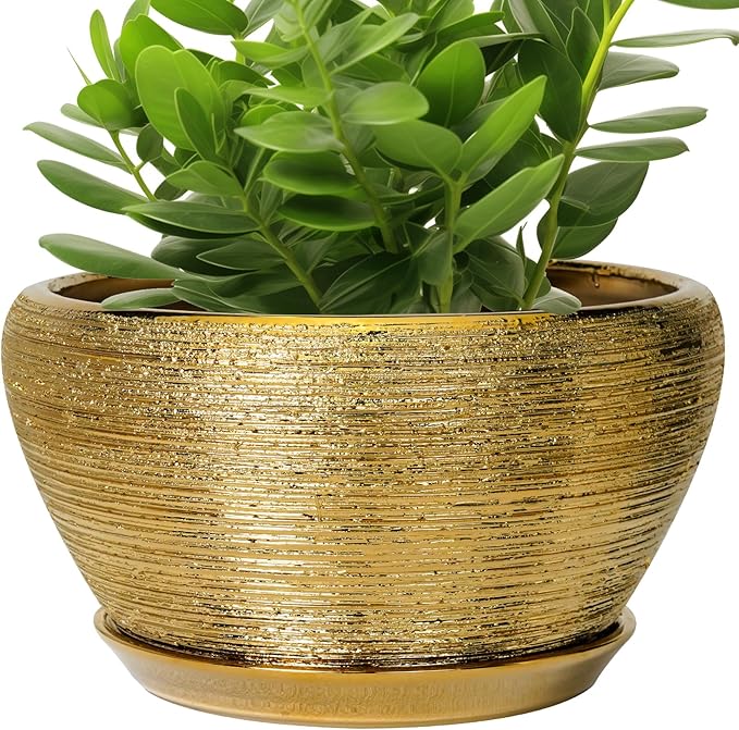 Ceramic Planter 11 Inch by Ceramicfor