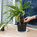 GREANER Nursery Pots, 1 Gallon Durable Flower Pots - Image 5