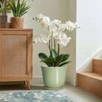 Ceramic Planter - Image 5