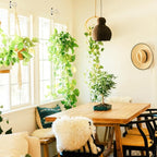 6Pack 2.5Inch Ceiling Hooks for Hanging Plant, Hanger for Indoor and Outdoor - Image 6