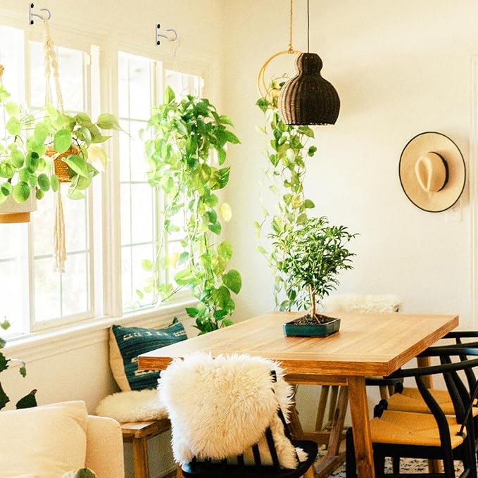 6Pack 2.5Inch Ceiling Hooks for Hanging Plant, Hanger for Indoor and Outdoor - Image 6