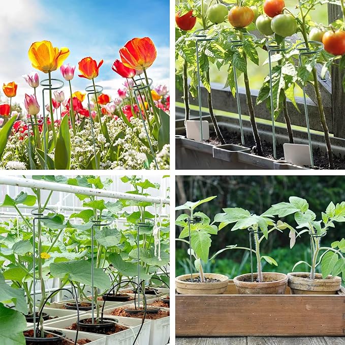 12 Pack 18 Inch Plant Support Stakes, Metal Single stemmed Flower Support - Image 5