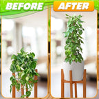 Moss Pole 26.4" Small Monstera Plant Support 2 Pcs Set - Image 7