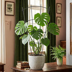 4 Pack 23'' Indoor Plant Trellis - Image 4
