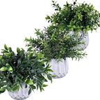 Winlyn 3 Pcs Faux Potted Plants Set - Image 6