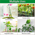 Extendable Plant Stakes, Length Scalable from 17.9IN to 42.3IN Plant Support - Image 6