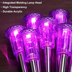 DenicMic Solar Lights Outdoor 10 Pack Waterproof Purple LED Stainless Steel - Image 5