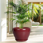 10 Inch Plant Pot - Image 4