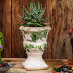Sungmor Small Ceramic Urn Planter - Image 4