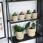 Gepege 4 Inch Small Indoor Succulent Ceramic Planter Pot - Image 6