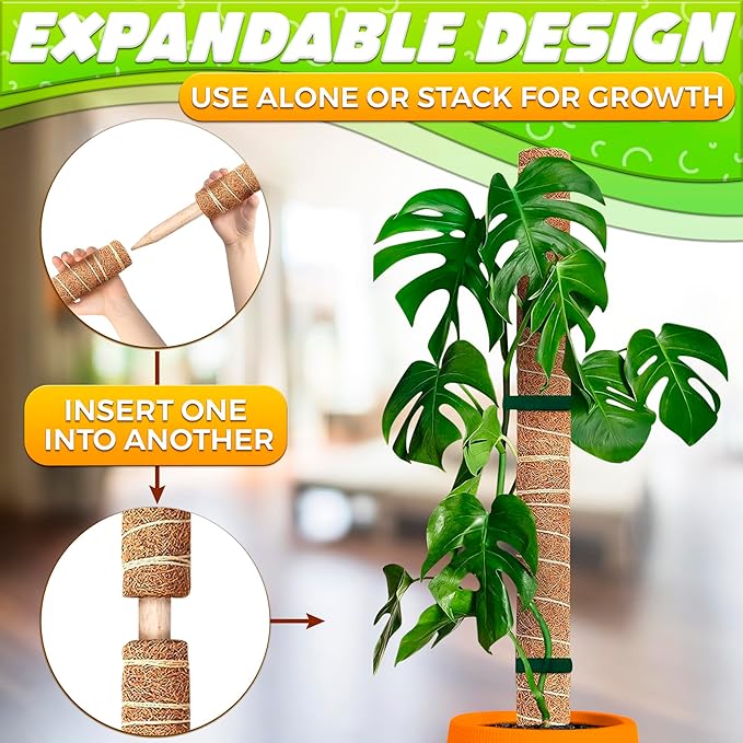 Moss Pole 26.4" Small Monstera Plant Support 2 Pcs Set - Image 9
