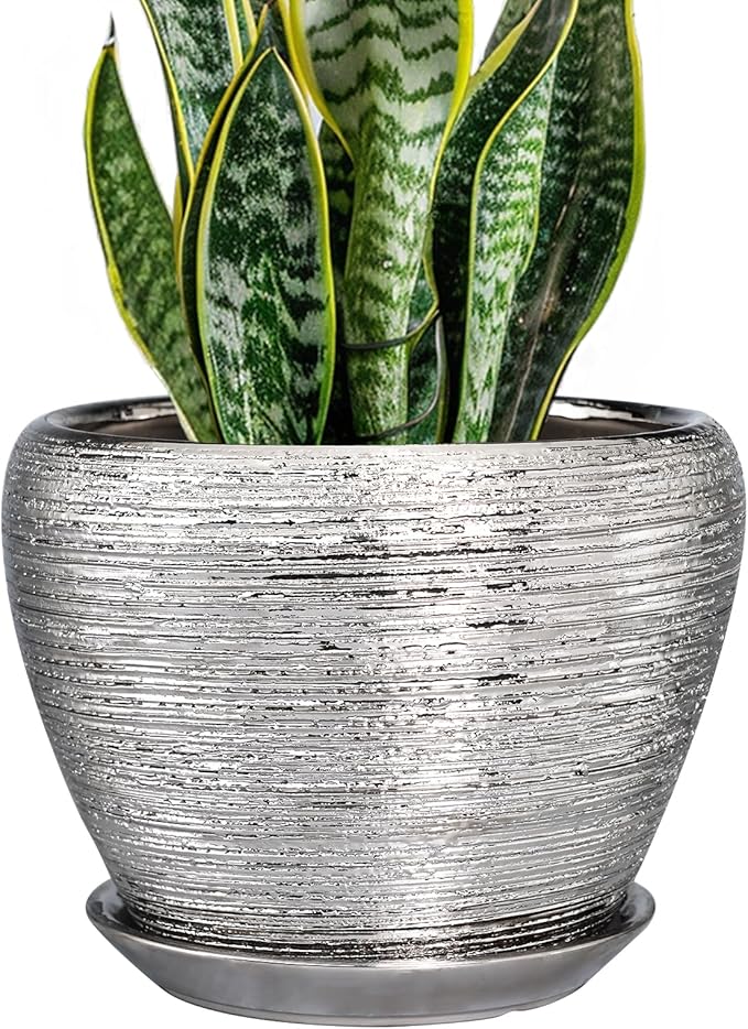 Pot for Plants 8 Inch by Ceramicfor