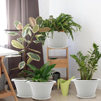 Quarut 12 Inch Plant Pot, 4 Pack Large pots - Image 3