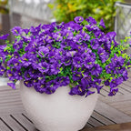 Artificial Flowers for Outdoors, UV Resistant Fake Silk Morning Glory, - Image 7