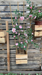 Natural Bamboo Trellis, Fan-Shaped Plant Support Trellis - Image 7