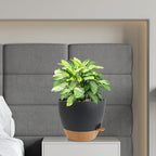 12 inch Large Self Watering Pots, Flower Plant Pots - Image 7