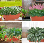 8pcs Window Box Planter, 17 Inches Flower Window Boxes, Rectangle Planters Box - Image 5