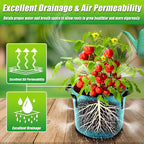 5 Gallon Grow Bags, 7 Pack Colorful Fabric Plant Pots - Image 5