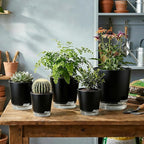 GARDIFE 2026 Upgraded Self Watering Plant Pots - Image 6