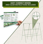 50x50 Cucumber Trellis for Raised Bed - Image 7