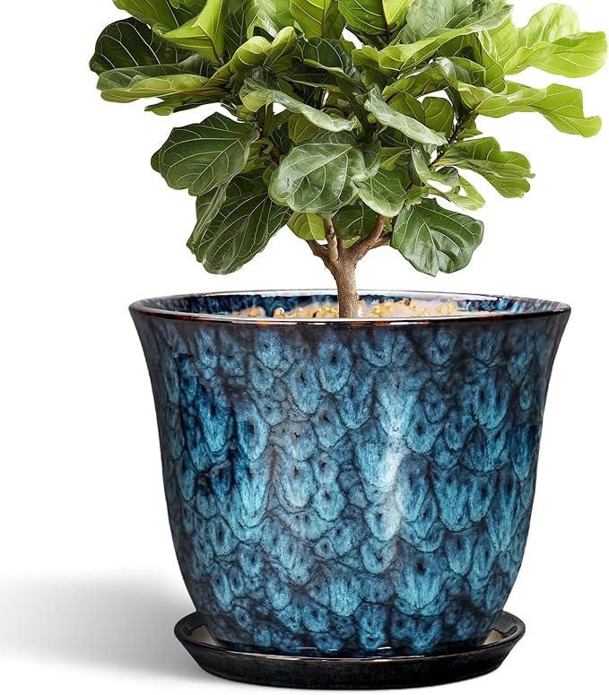 Ceramic Plant Pots by SUNPOTFOR