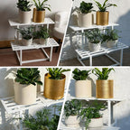Metal Plant Stand Indoor, Outdoor Iron Plant Shelf, Heavy Duty Slatted Display - Image 7