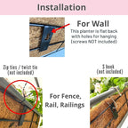LaLaGreen Wall Mounted Planters - Image 4