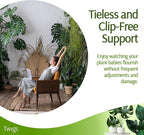 Stackable Monstera Plant Support Stakes, Climbing Support - Image 3