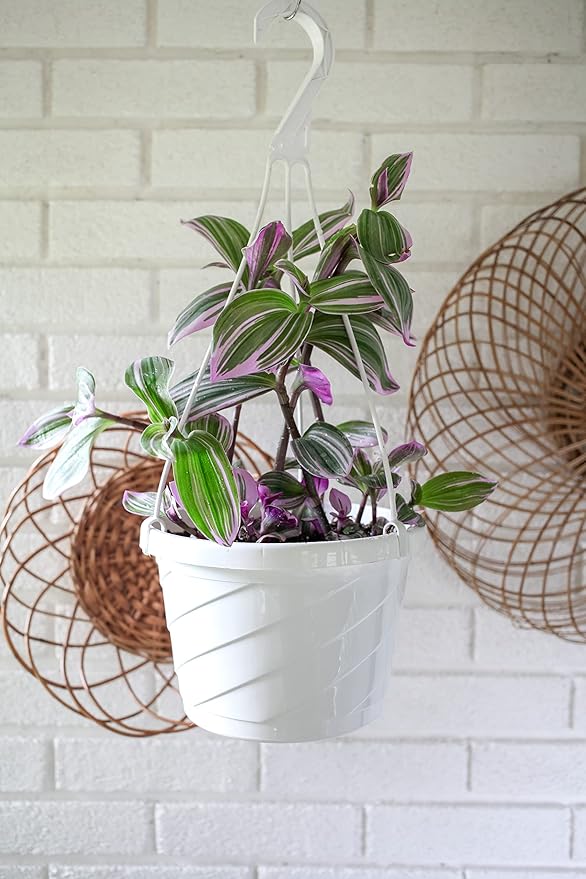 The HC Companies Euro Hanging Basket Planter Decorative 10-Inch Large Plastic - Image 5