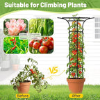 Garden Trellis for Climbing Plants Outdoor, 65 Inch Mushroom Top Trellis for - Image 2