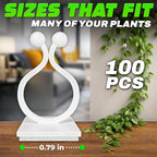 100Pcs Clear Plant Clips for Climbing Plants Indoor - Image 2